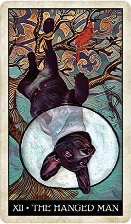 Wise Dog Tarot - M.J Cullinane [KSIĄŻKA]