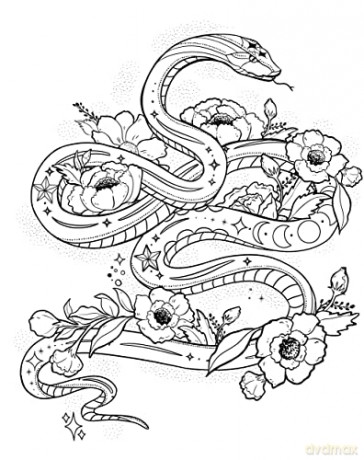 Witchcraft Coloring Book - Haberkern [KSIĄŻKA]