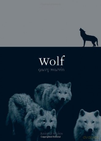 Wolf by Marvin, Gary (AUTHOR) Feb-01-2012 Paperback - Gary Marvin [KSIĄŻKA]