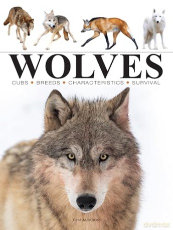 Wolves (Mini Animals) - Tom Jackson [KSIĄŻKA]