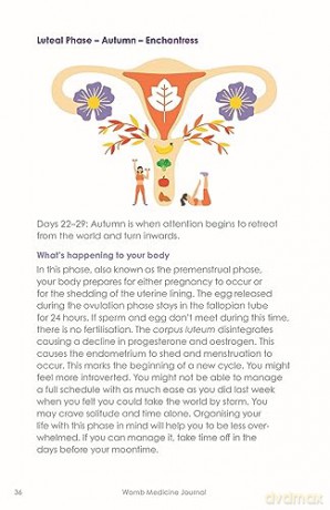 Womb Medicine Journal: Your Guide to Manifesting with the Moon and Your Menstrual Cycle - Sali McIntyre [KSIĄŻKA]