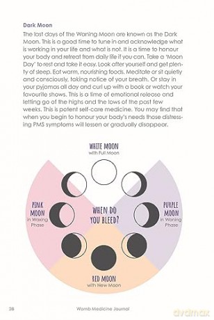 Womb Medicine Journal: Your Guide to Manifesting with the Moon and Your Menstrual Cycle - Sali McIntyre [KSIĄŻKA]