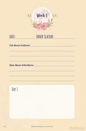 Womb Medicine Journal: Your Guide to Manifesting with the Moon and Your Menstrual Cycle - Sali McIntyre [KSIĄŻKA]