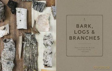 Wonder of the Woodlands: The Art of Seeing and Creating with Nature - Françoise Weeks [KSIĄŻKA]