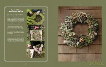 Wonder of the Woodlands: The Art of Seeing and Creating with Nature - Françoise Weeks [KSIĄŻKA]