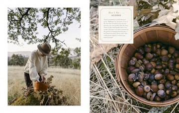 Wonder of the Woodlands: The Art of Seeing and Creating with Nature - Françoise Weeks [KSIĄŻKA]