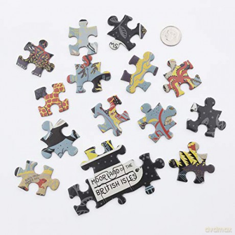 Wondrous Workings of Planet Earth Puzzle: Ecosystems of the World 500-Piece Jigsaw Puzzle and Poster (Puzzles) - Rachel Ignotofsky [PUZZLE]