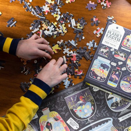 Wondrous Workings of Planet Earth Puzzle: Ecosystems of the World 500-Piece Jigsaw Puzzle and Poster (Puzzles) - Rachel Ignotofsky [PUZZLE]