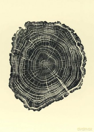 Woodcut Postcards: 24 Postcards - Bryan Nash Gill [KALENDARZ]