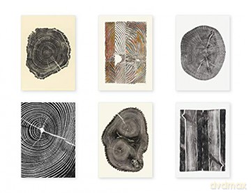 Woodcut Postcards: 24 Postcards - Bryan Nash Gill [KALENDARZ]