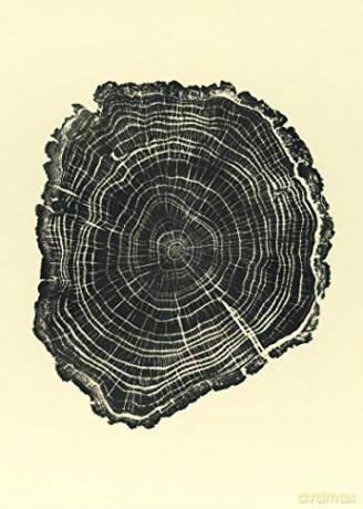 Woodcut Postcards: 24 Postcards - Bryan Nash Gill [KALENDARZ]