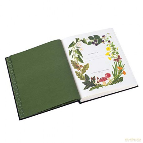 Woodland Journal - Princeton Architectural Press [KSIĄŻKA]