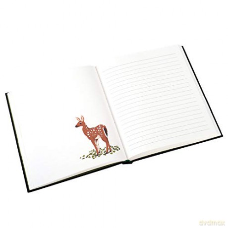 Woodland Journal - Princeton Architectural Press [KSIĄŻKA]