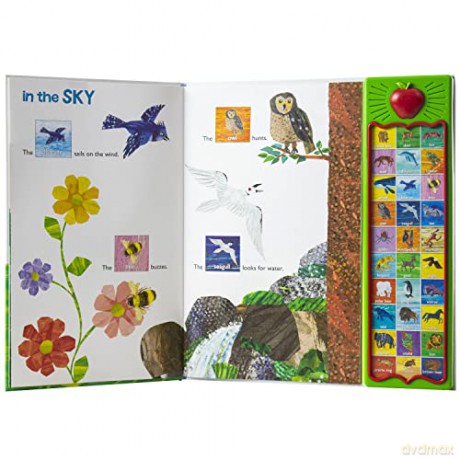 World of Eric Carle, Hear Bear Roar 30-Button Animal Sound Book - Great for First Words - PI Kids (The World of Eric Carle: Play-a-sound) [KSIĄŻKA]