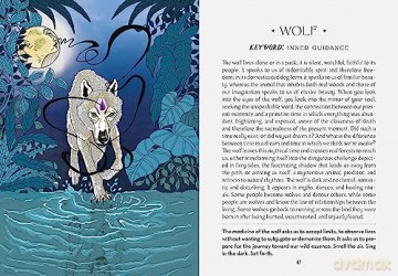 World Shamans Oracle: 50 Cards and Manual (VIVIDA) - Francesca Matteoni [KSIĄŻKA]