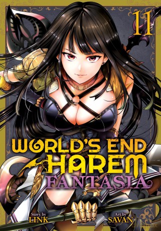 World's End Harem: Fantasia Vol. 11 - Link [KSIĄŻKA]