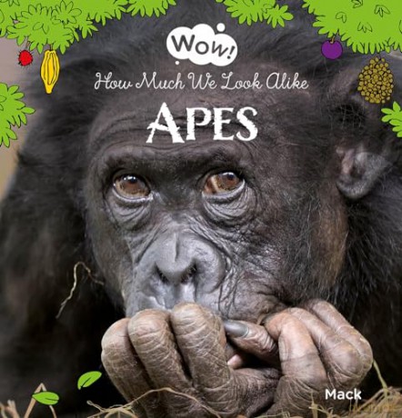 Wow! Apes. How Much We Look Alike: 5 (Wow!, 5) - Mack van Gageldonk [KSIĄŻKA]