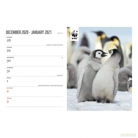 WWF, Amazing Wildlife A5 Deluxe Diary 2021 [KSIĄŻKA]
