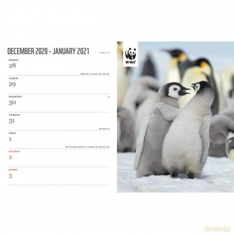 WWF, Amazing Wildlife A5 Deluxe Diary 2021 [KSIĄŻKA]