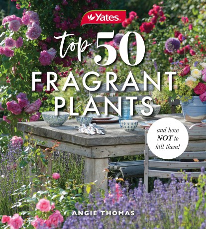 Yates Top 50 Fragrant Plants and How Not to Kill Them!: How to enjoy thriving fragrant plants in your garden, on your balcony or in your courtyard - Thomas [KSIĄŻKA]