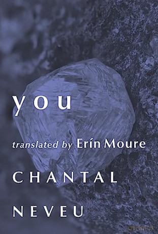 you (Literature in Translation Series) [KSIĄŻKA]
