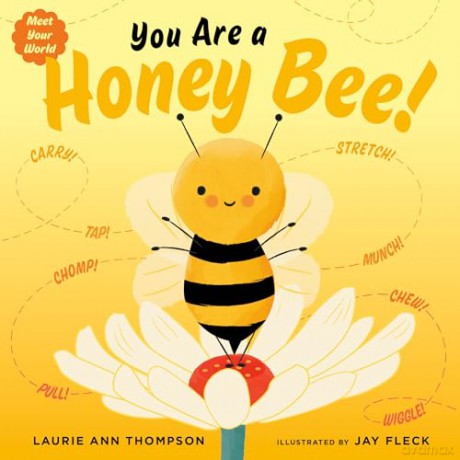 You Are a Honey Bee! (Meet Your World) - Thompson [KSIĄŻKA]