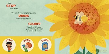 You Are a Honey Bee! (Meet Your World) - Thompson [KSIĄŻKA]