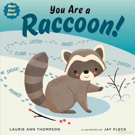 You Are a Raccoon! (Meet Your World) - Thompson [KSIĄŻKA]