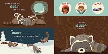 You Are a Raccoon! (Meet Your World) - Thompson [KSIĄŻKA]
