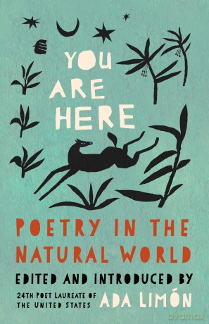You Are Here: Poetry in the Natural World - Ada Limón [KSIĄŻKA]