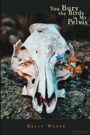 You Bury the Birds in My Pelvis - Kelly Weber [KSIĄŻKA]