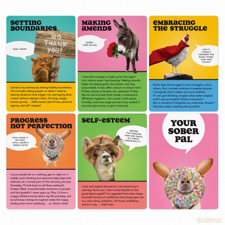 Your Sober Pal: 50 Affirmation Cards Deck To Help You Along the Recovery Path - Laura Van Antwerp [KSIĄŻKA]