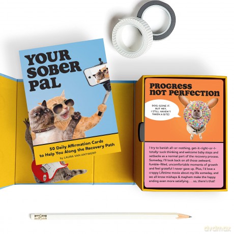 Your Sober Pal: 50 Affirmation Cards Deck To Help You Along the Recovery Path - Laura Van Antwerp [KSIĄŻKA]
