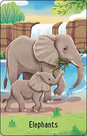 Zoo Snap (Snap Cards) - Abigail Wheatley [KSIĄŻKA]