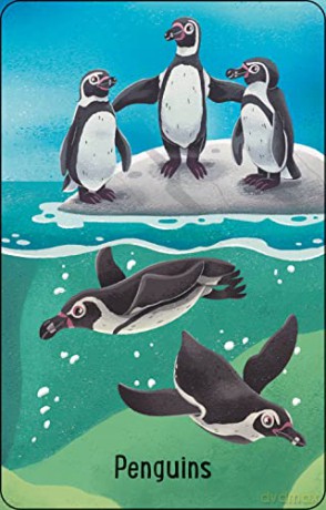 Zoo Snap (Snap Cards) - Abigail Wheatley [KSIĄŻKA]
