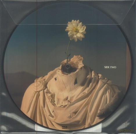 Offspring: Splinter (Picture) (RSD 2024) [Winyl]