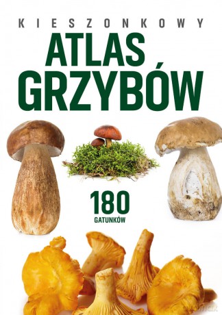 Kieszonkowy atlas grzybów. 180 gatunków - Patrycja Zarawska, Wiesław Kamiński [KSIĄŻKA]