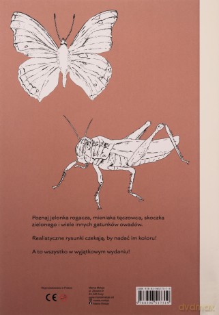 Kolorowanka Owady