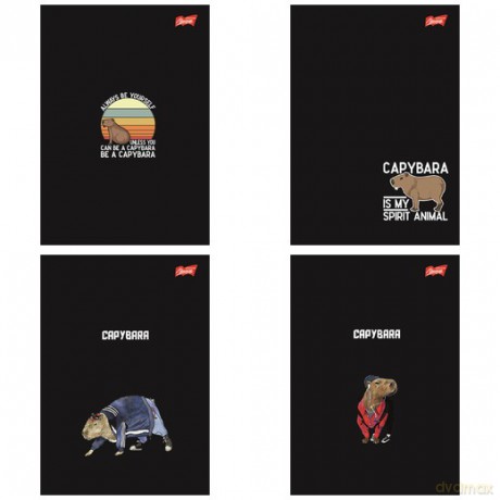 Zeszyt A5 60 k. kratka Capybara mix wzorów