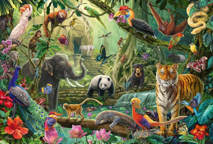 SCHMIDT 100 el. Kolorowa dżungla 112714 [PUZZLE]
