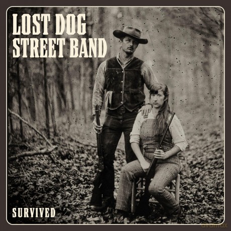 Lost Dog Street Band: Survived [Winyl]