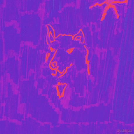 Dehd: Poetry (digipack) [CD]