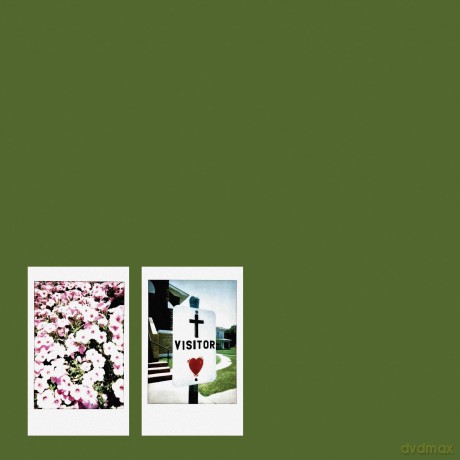 John Moreland: Visitor [Winyl]