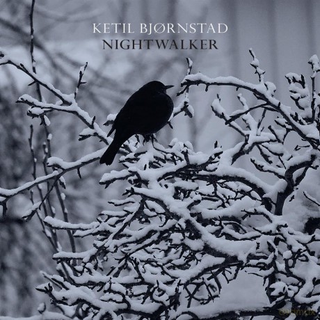 Ketil Bjornstad: Nightwalker [2CD]