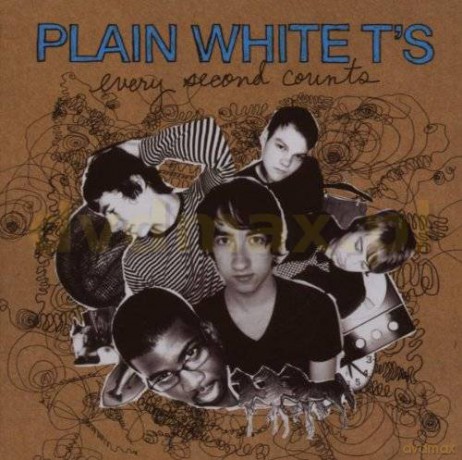 Plain White T's: Every Second Counts [CD]