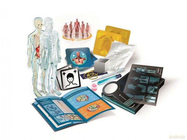 Naukowa zabawa. Super Anatomia 50919