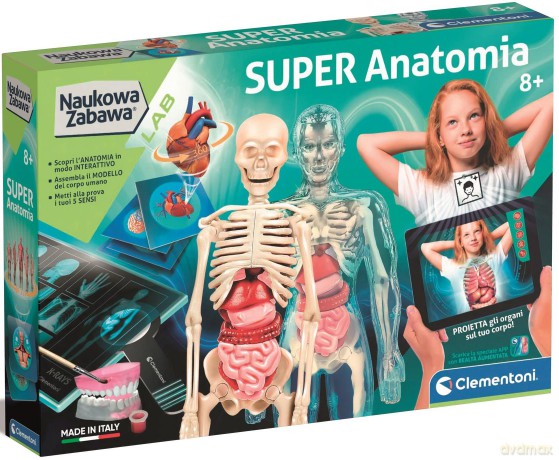 Naukowa zabawa. Super Anatomia 50919