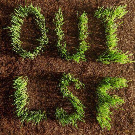 Les Savy Fav: OUI, LSF [CD]