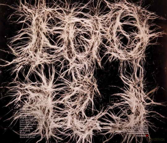 Les Savy Fav: OUI, LSF [CD]