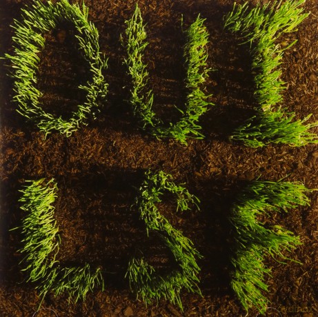 Les Savy Fav: OUI, LSF [CD]